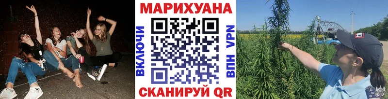 Шишки марихуана семена  Наволоки 